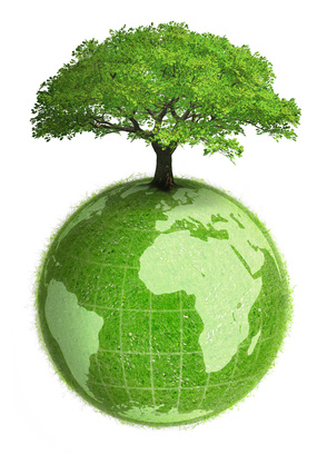 La protection de l’environnement, patrimoine commun des êtres humains, est un objectif de valeur constitutionnelle